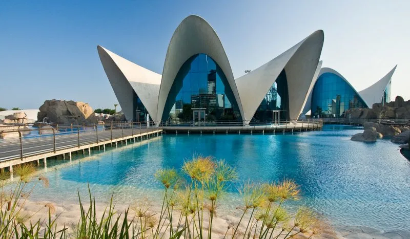 L'Oceanografic Aquarium​ Valencia
