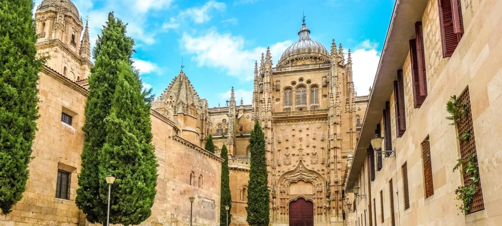Old Cathedral of Salamanca​