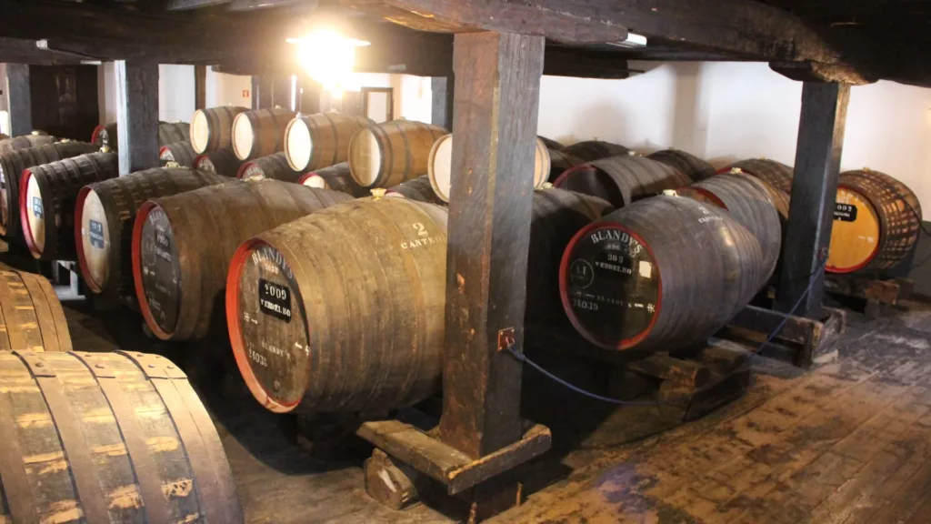 Madeira Wine Museum​
